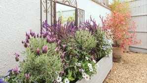 A garden bed with various flowers and a metal gate. - Meadow View Barn (Wareham)