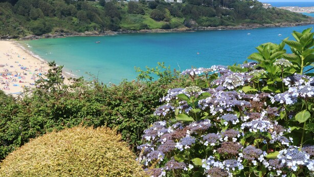A coastal landscape with a beach, clear turquoise waters, and lush greenery. - Meridian (St Ives)