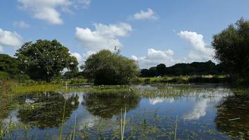A natural landscape with a pond, trees, and a clear sky.