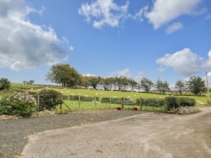 A rural landscape with a gravel path, a fenced area with sheep, and trees.