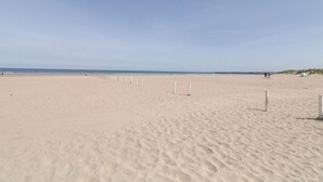 A wide sandy beach with a clear sky. - Seashells (Coleraine)