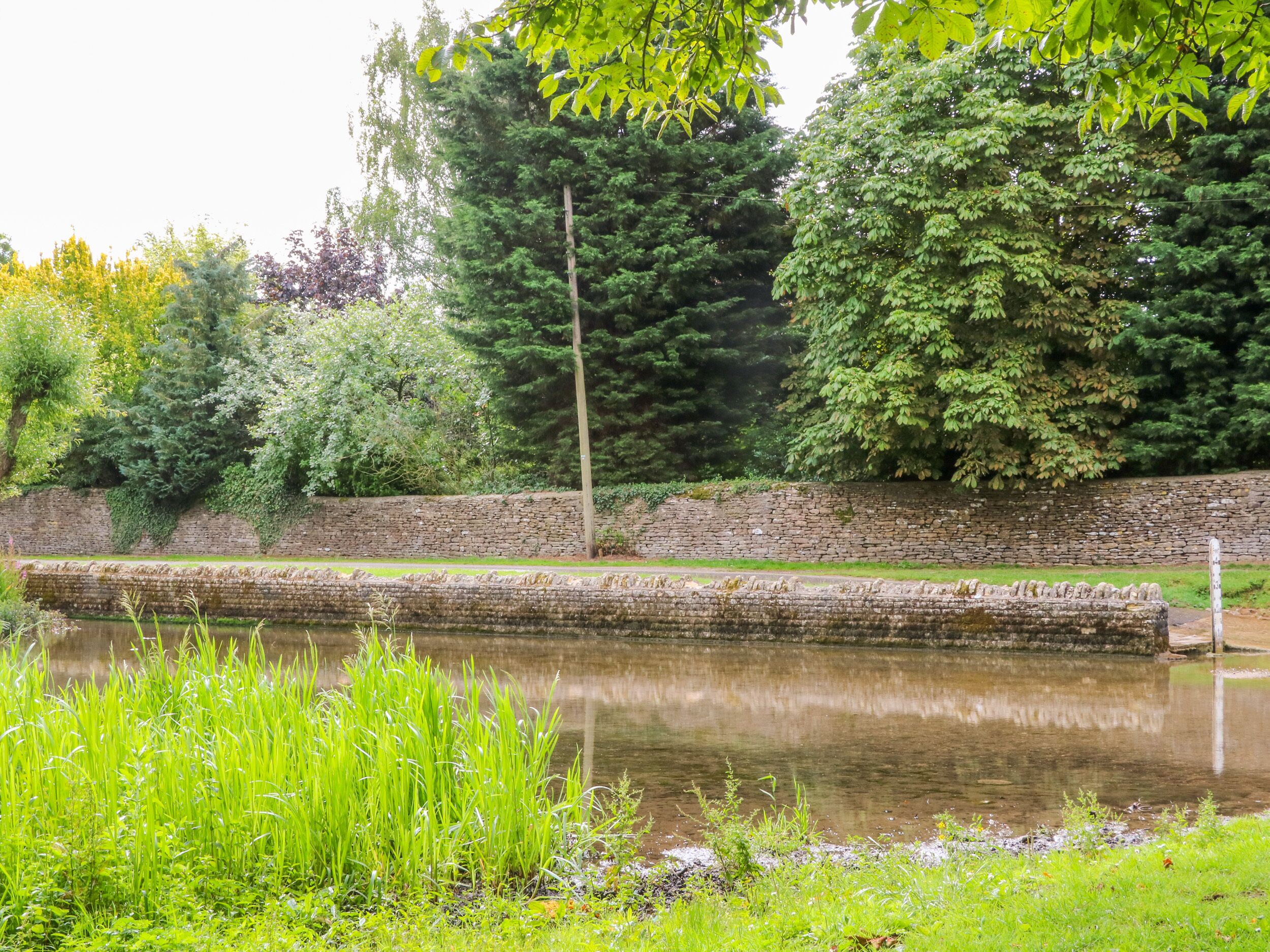 A tranquil garden with a stone wall, a calm pond, and lush greenery.