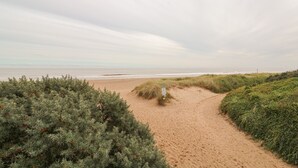 Un sentier de sable bordé de part et d’autre d’une végétation arbustive dense, qui mène à l’océan.