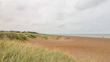 Una spiaggia sabbiosa con dune e un cielo nuvoloso.