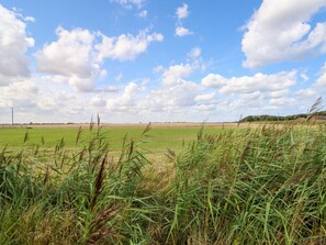 Cottage | Intérieur