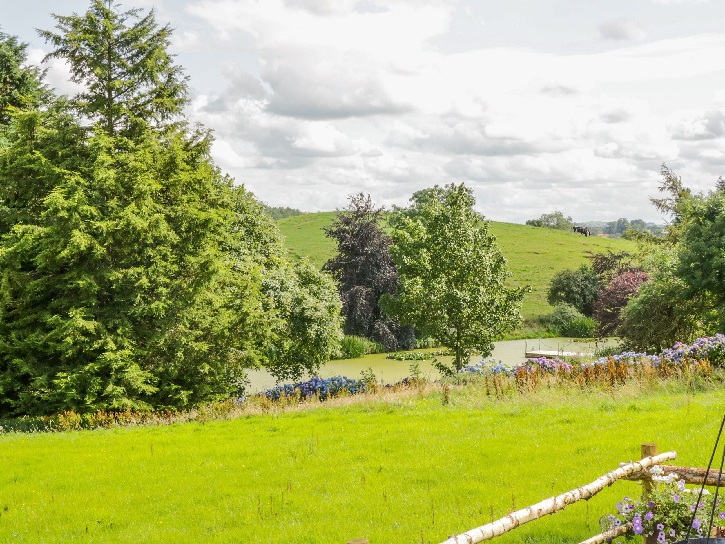 A lush green landscape with a pond, trees, and a cow in the distance.