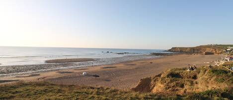 A coastal landscape with a beach, grassy areas, and a cliff.