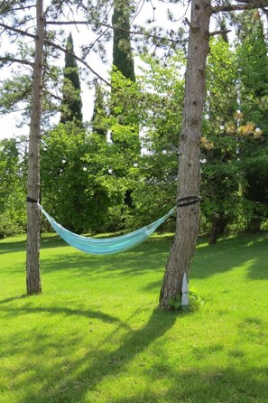 Property grounds - Maison La Viste (Devillac)