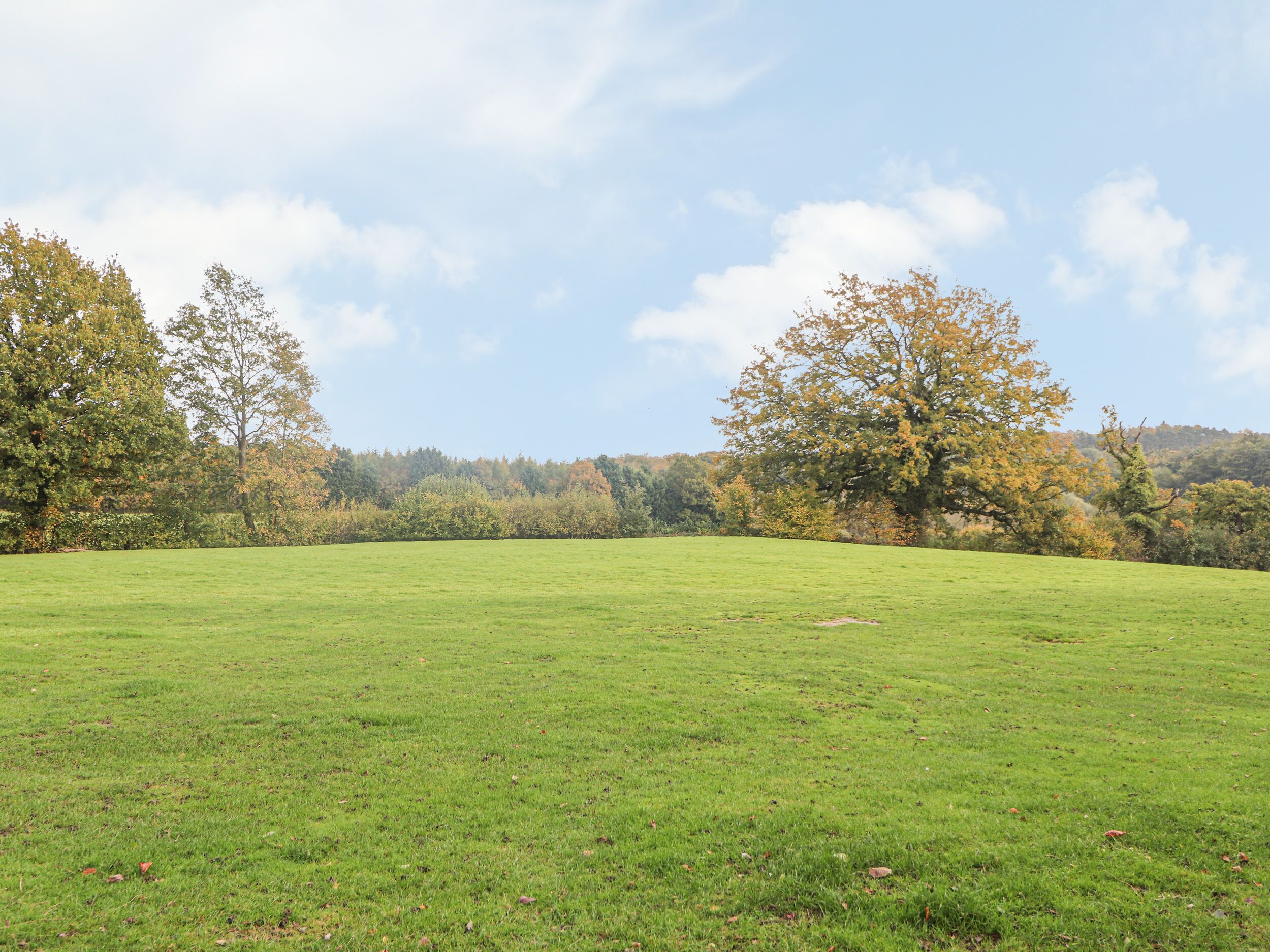 A wide, open grassy field with trees in the background.