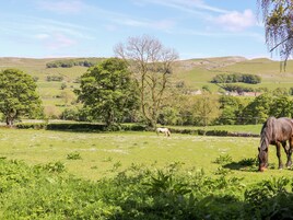 A rural landscape with rolling hills, a field with grazing horses, and a variety of trees.
