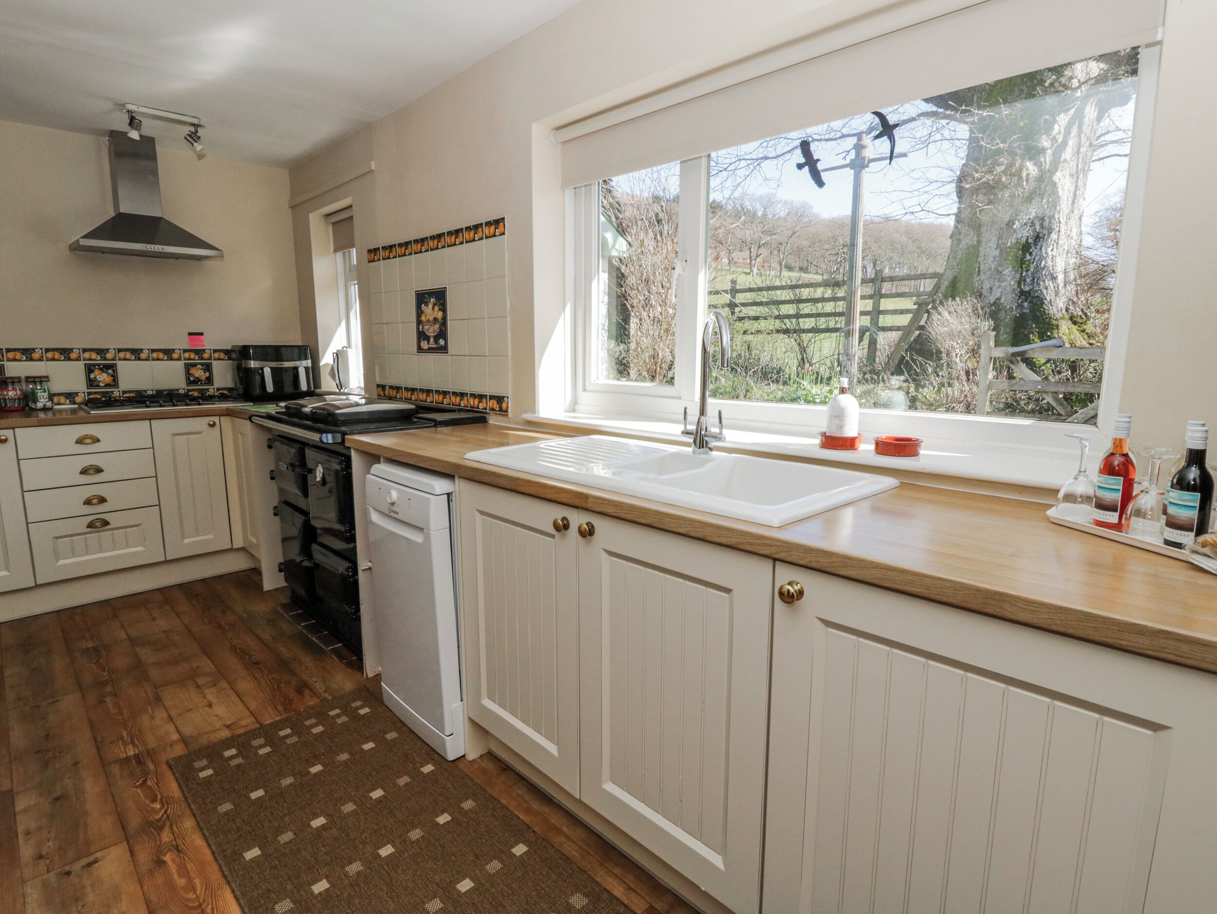 Fridge, stovetop, dishwasher, electric kettle