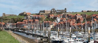 Mallard @ Engine Shed