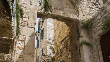 An arched stone doorway with steps leading up to a building, surrounded by palm fronds and greenery.