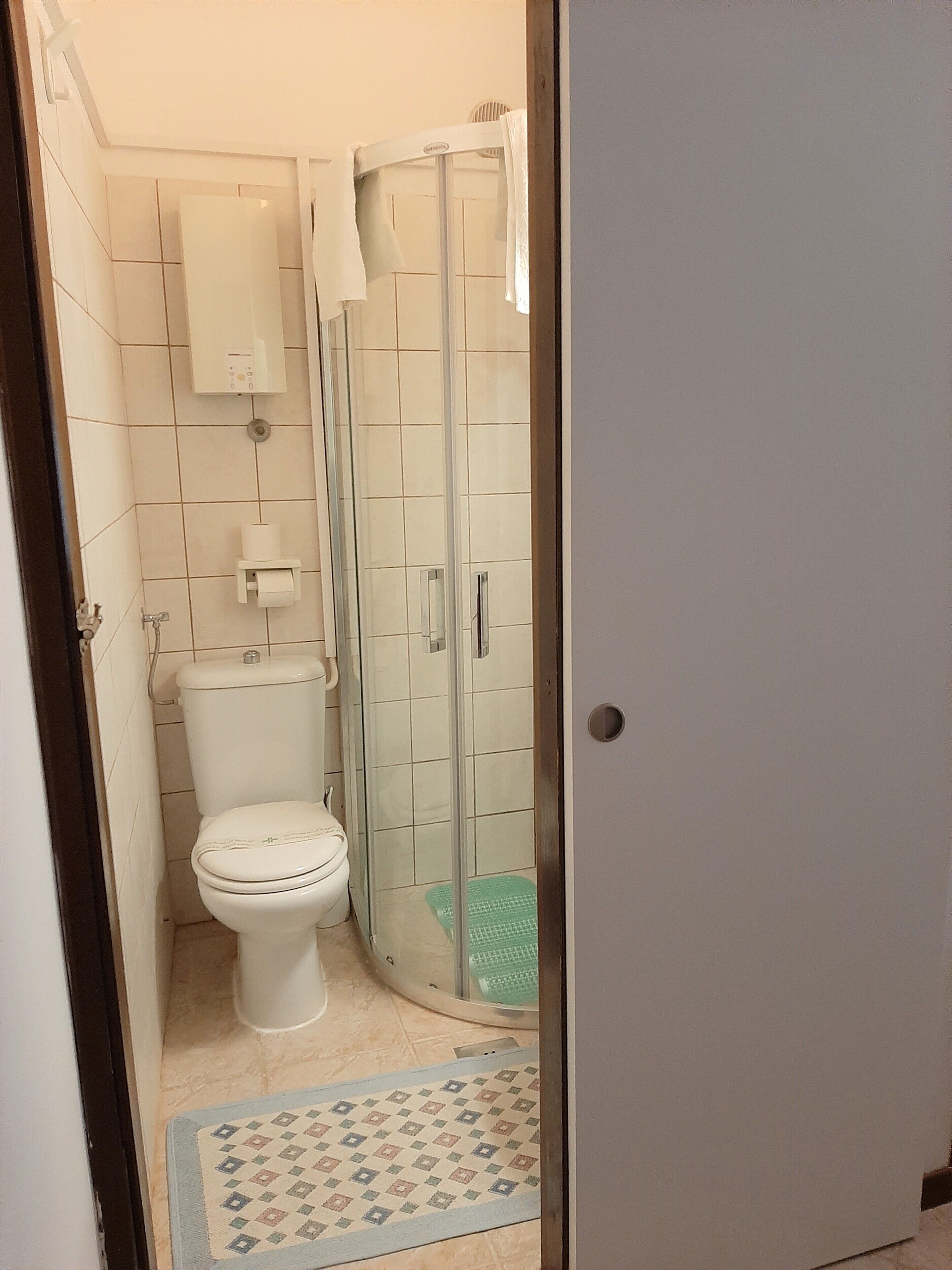 Een badkamer met een toilet, een douchecabine en een toiletrolhouder.