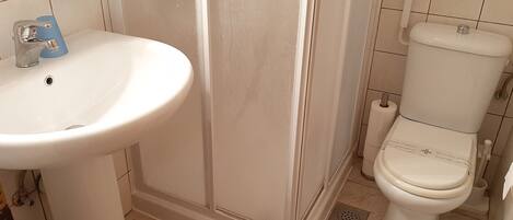 A bathroom with a sink, toilet, and shower.