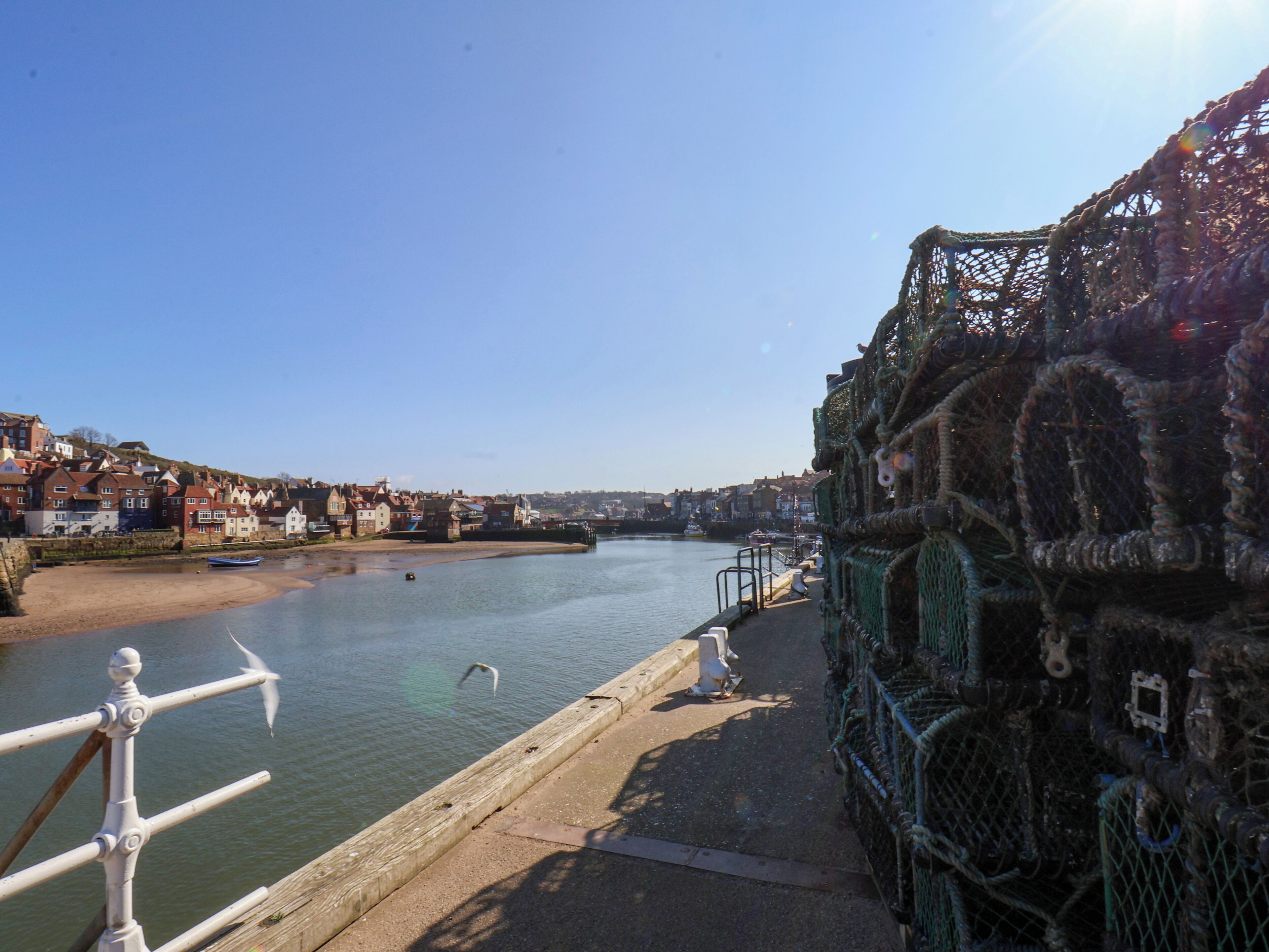 A riverside view with a wooden walkway, fishing nets, and a seagull.