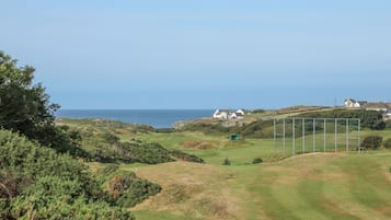 ์ฝํฐ์ง | ๊ณจํ