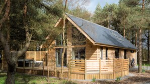 A wooden cabin with a sloped roof, surrounded by trees. - Bracken Howe Lodge (Whitby)