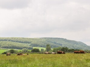 Cottage | Nội thất