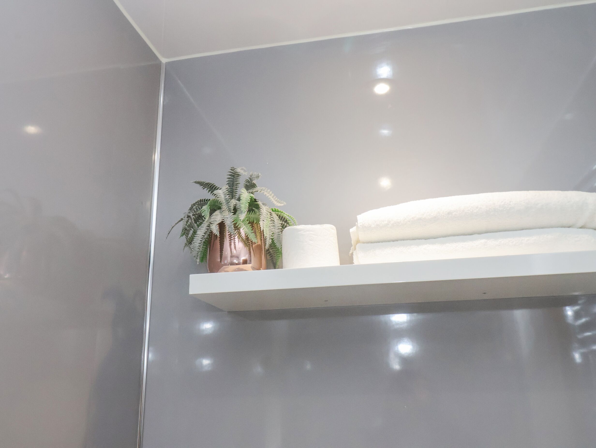 A bathroom with a white shelf holding a potted plant and a rolled towel.