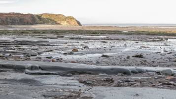 Overlooking a rugged coastline with a scenic shoreline and distant sea views.