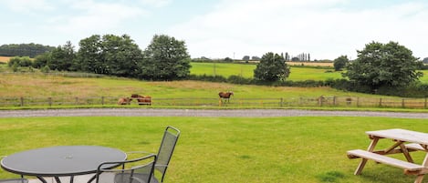 Eine Terrasse mit einem runden Tisch und Stühlen, einem Picknicktisch und Blick auf Pferde, die auf einer Wiese weiden.