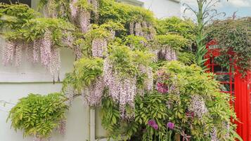 Cottage | Nội thất