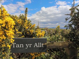 A sign with the text "Tan yr Allt" amidst a garden with yellow flowers and a clear sky.