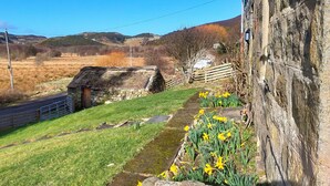 A rural landscape with a stone wall, a thatched-roof building, and daffodils in a garden bed. - Ornum (Thurso)