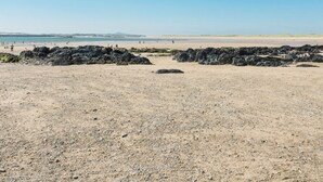 Una playa con afloramientos rocosos y cielo despejado.