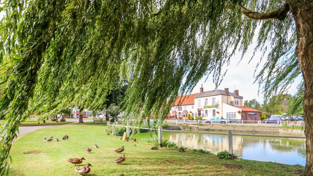 A grassy area with ducks and a pond, a building with a red roof, and a willow tree.