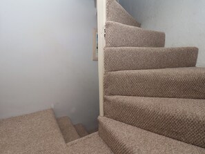 A carpeted staircase with a handrail and a light switch on the wall.