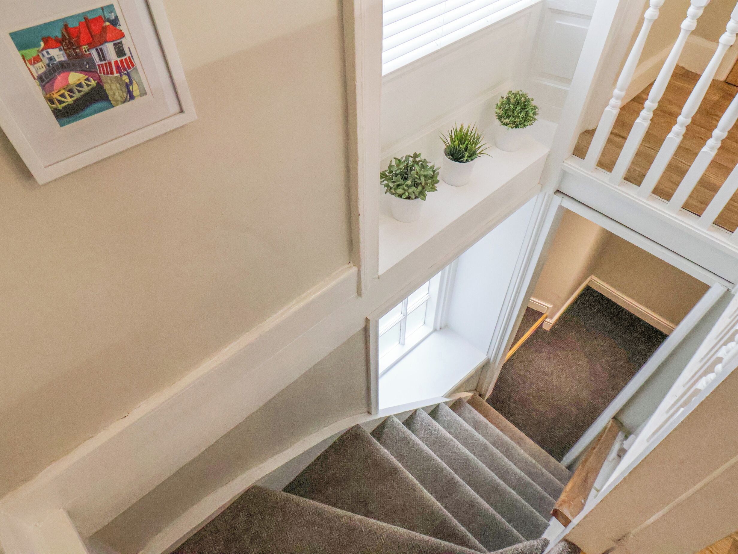 A staircase with a carpeted landing, a framed picture on the wall, and three potted plants on a shelf.
