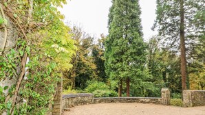 A gravel courtyard with stone walls, surrounded by dense trees and greenery. - October Cottage (Stroud)
