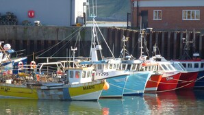A harbor with several boats docked, a building with a red roof, and a structure with a grey roof in the background. - Tennyson House (Scarborough)
