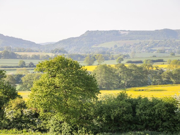A rural landscape with rolling hills, fields, and a prominent tree in the foreground. - The Cottage (Thirsk)