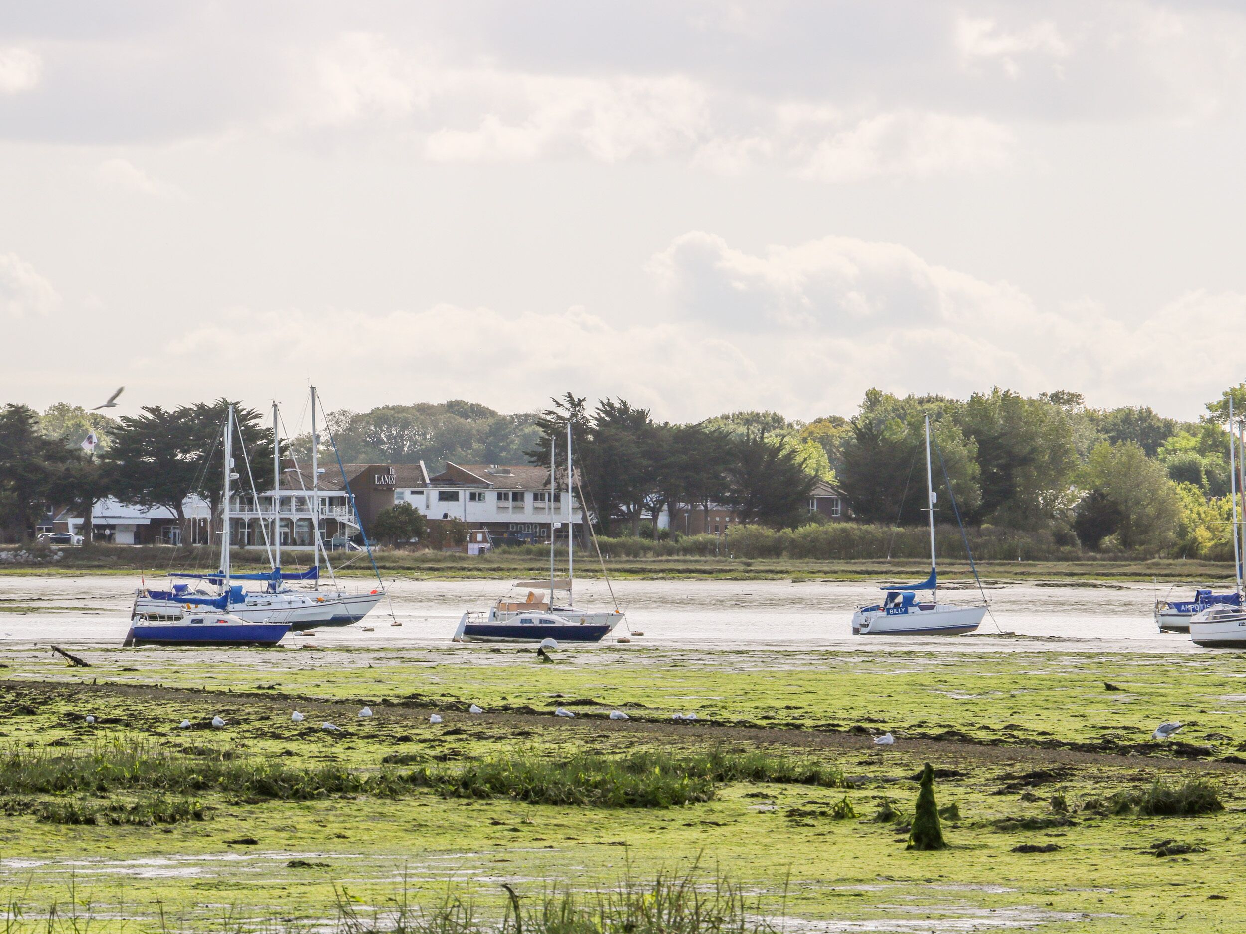 Uma marina com vários barcos atracados, cercada por vegetação e edifícios ao fundo.