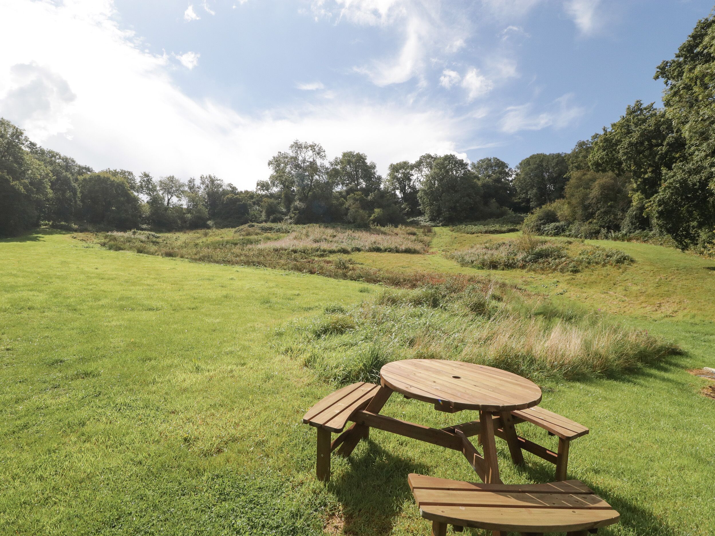 Une table de pique-nique dans un champ herbeux, avec des arbres en arrière-plan.