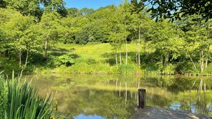 A wooden dock extending into a calm pond surrounded by lush greenery and trees. - Foxglove (Shepton Mallet)