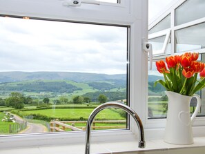 Microondas, placa de cocina, lavavajillas, tetera/pava eléctrica