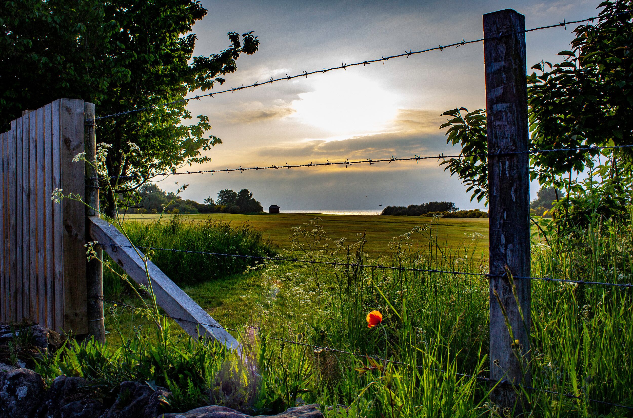 Áreas de la propiedad