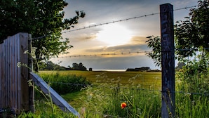 Småhus | Overnattingsstedets uteområder