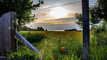 Cottage | Property grounds