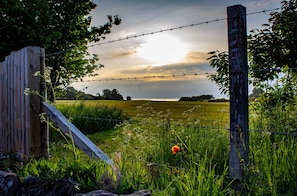 Cottage | Enceinte de l’hébergement