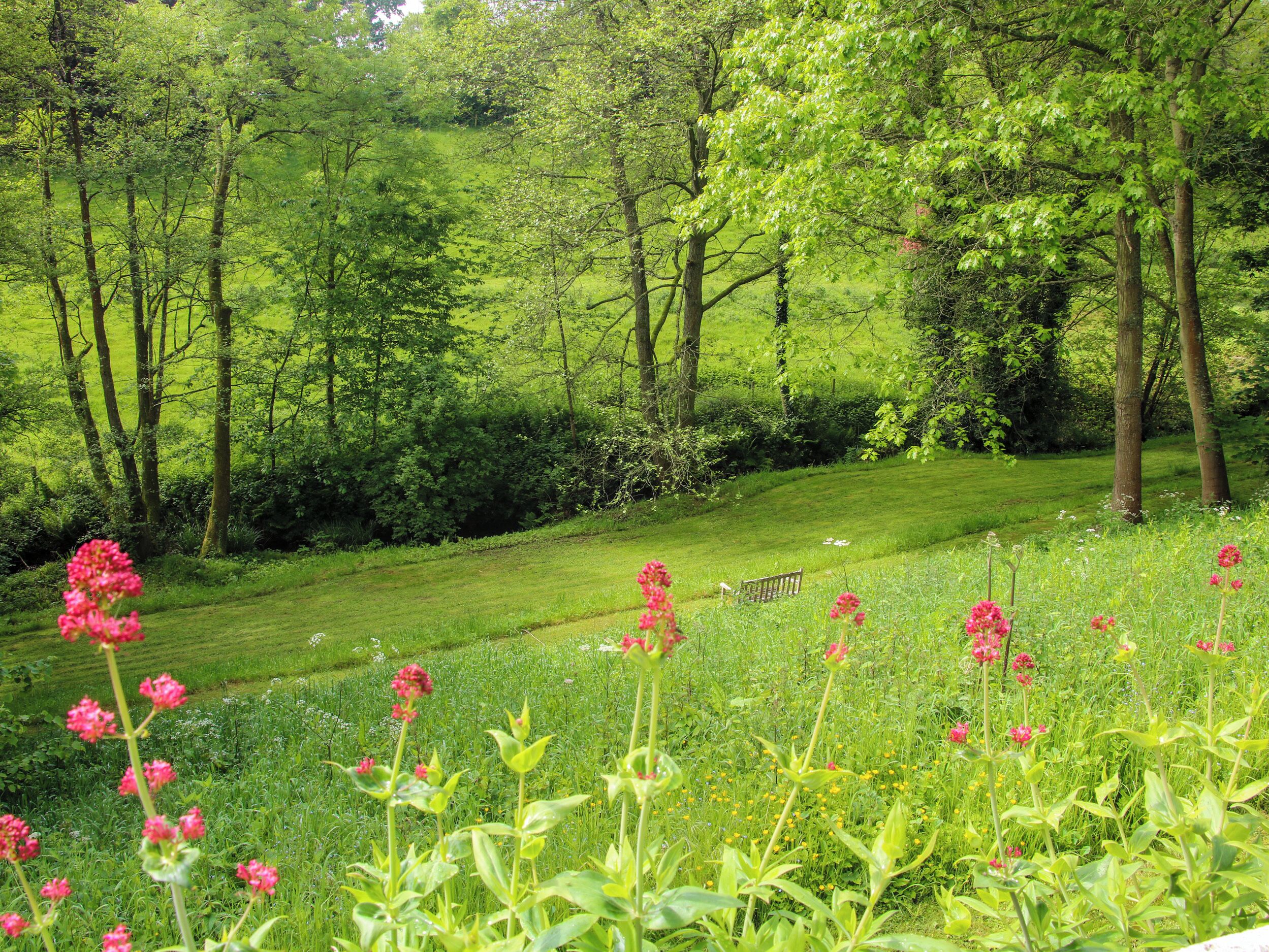 A lush green landscape with a bench in the middle, surrounded by trees and flowering plants.