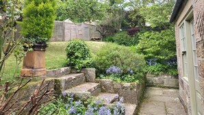Un jardin avec des marches en pierre menant à une maison, le tout entouré de divers arbustes et de fleurs.