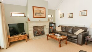 A living room with a fireplace, a television, a leather sofa, and a bookshelf. - Frog Meadow Barn (Stoke-on-Trent)