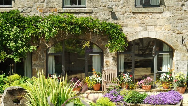 A stone building with a garden in front, featuring a wooden bench and potted plants. - The Steadings (Morpeth)