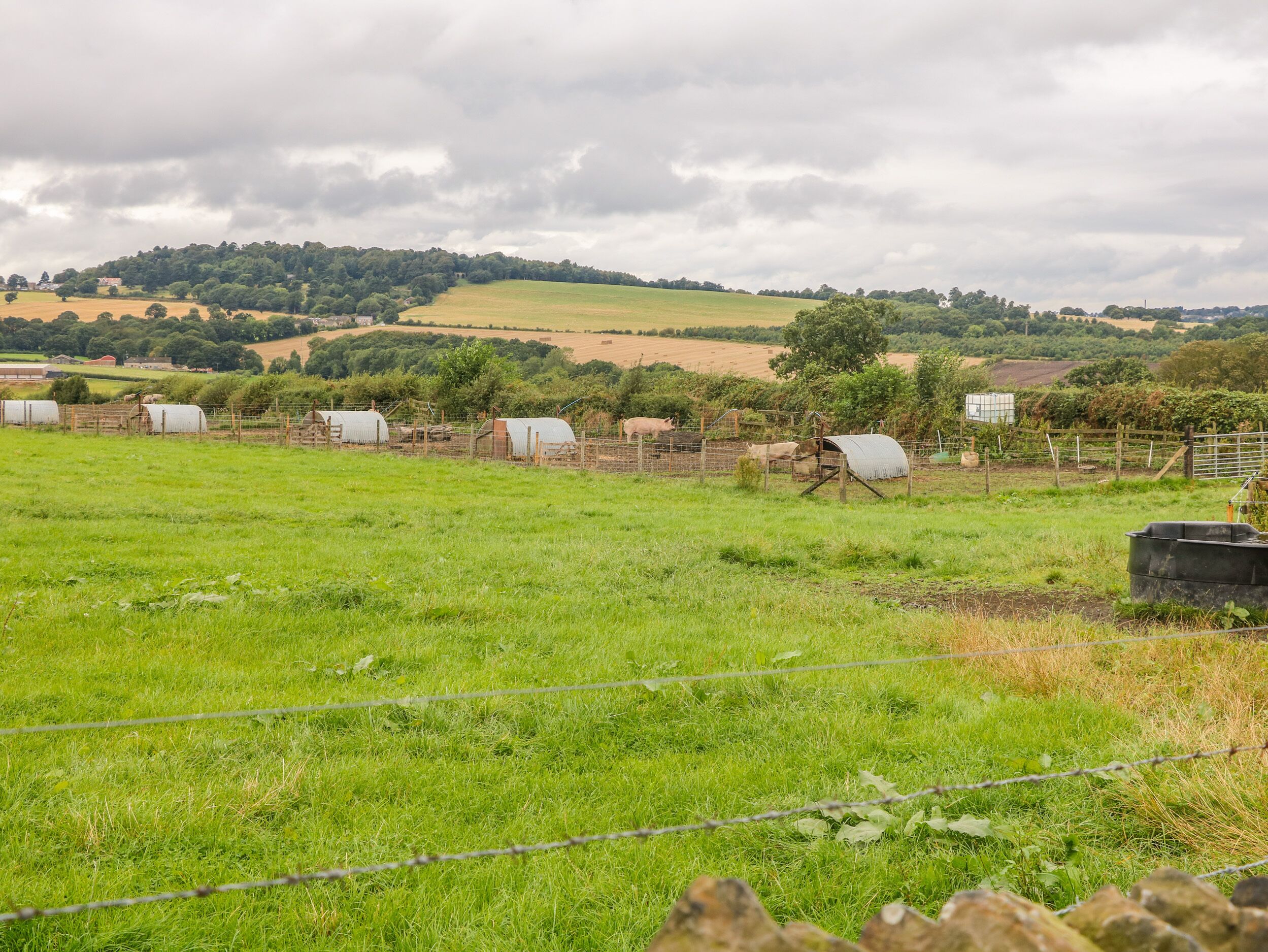 A rural landscape with green fields, a fence, and a distant hill.