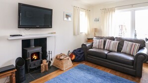 Ein Wohnzimmer mit Kamin, einer Couch, einem Fernseher und einem blauen Teppich.
